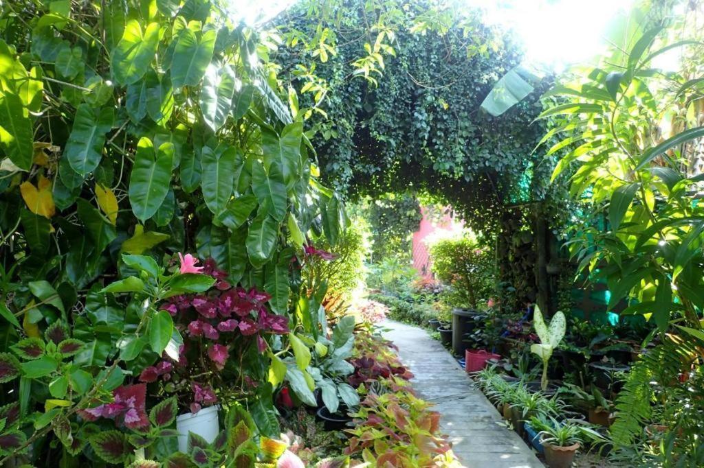 Rommai Rimnaam Resort Ranong Exterior foto
